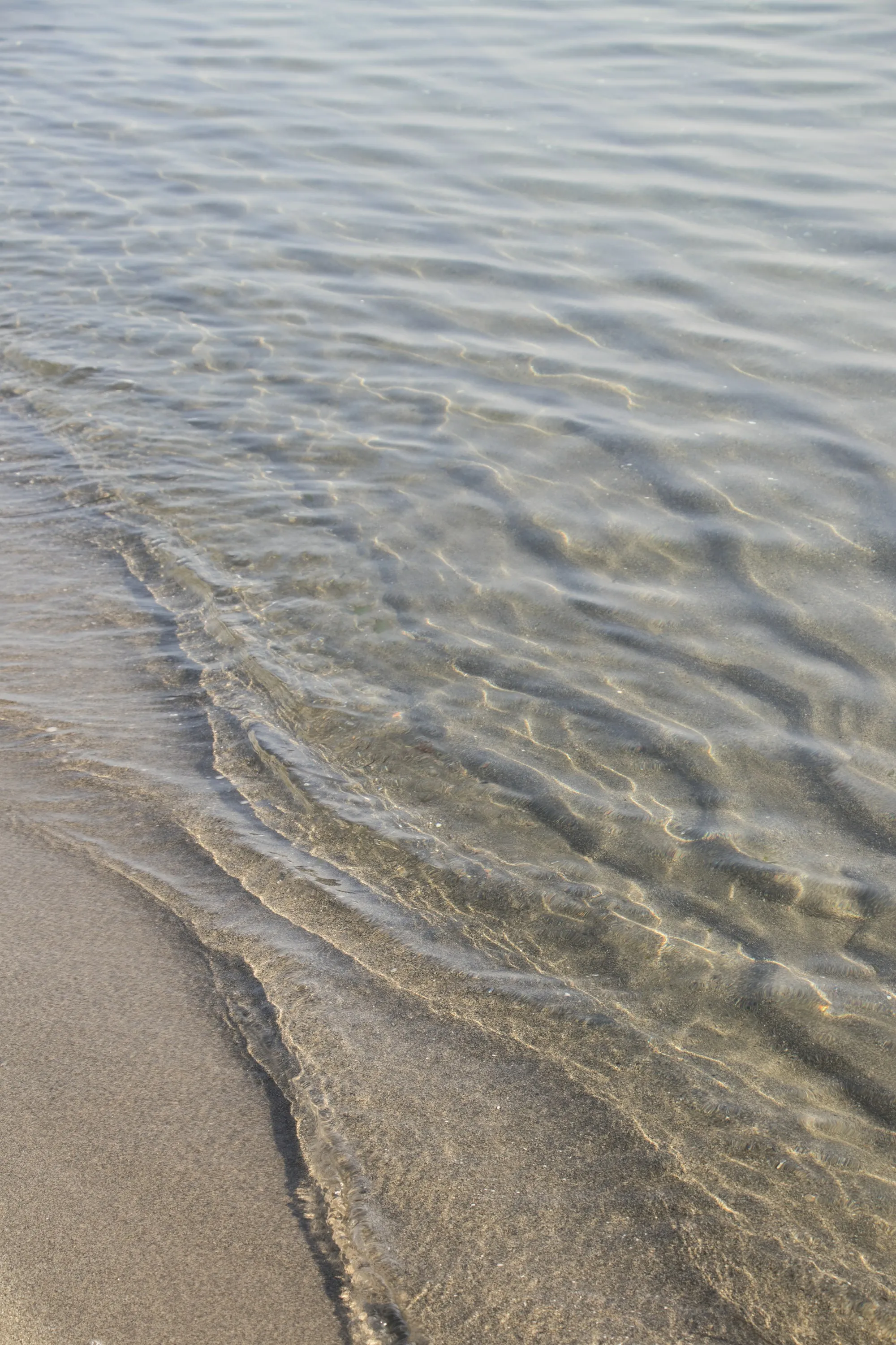 Sediment Filtration in Lake Forest, CA Shallow water rippling over sand