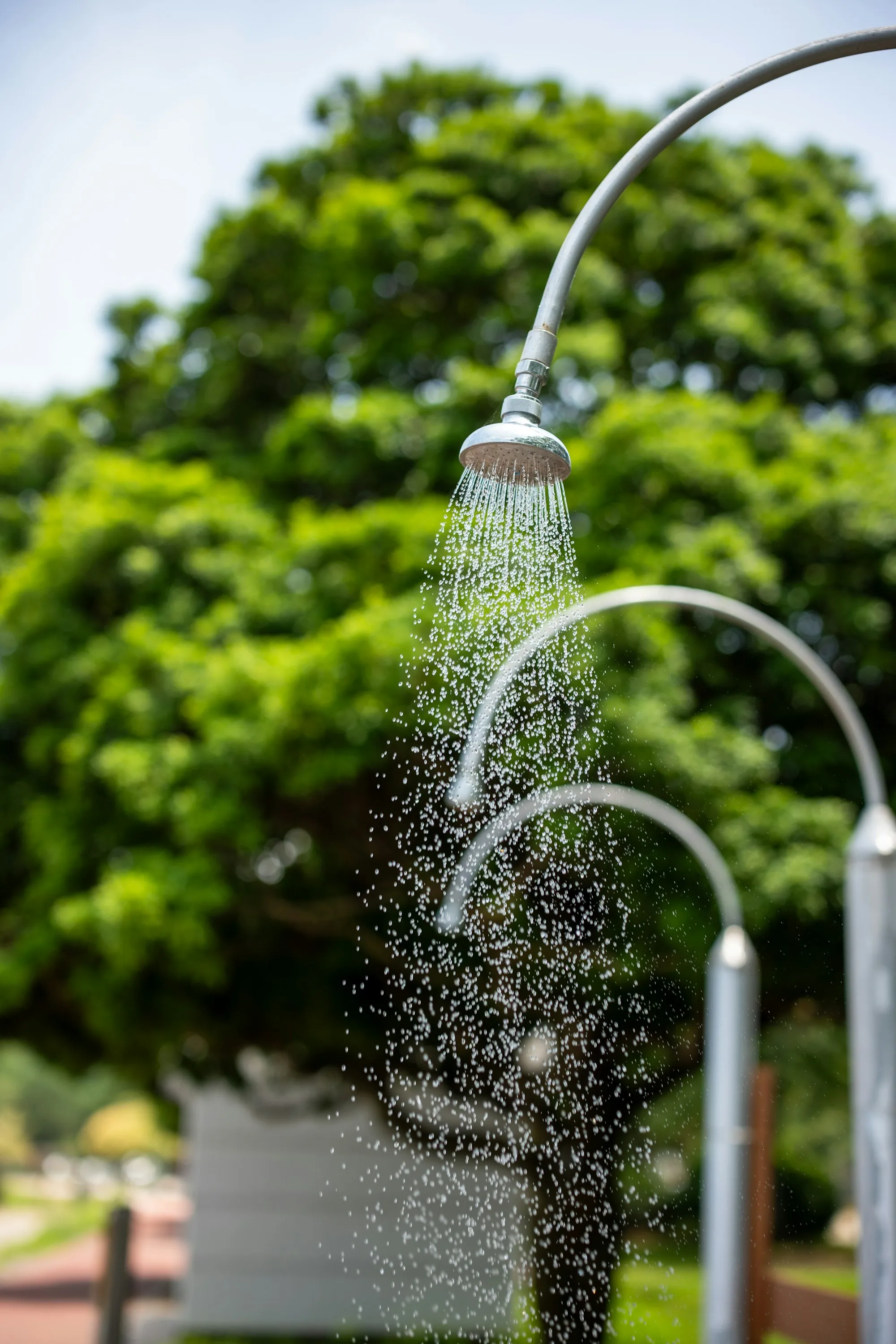 Shower head spraying water with green trees behind
